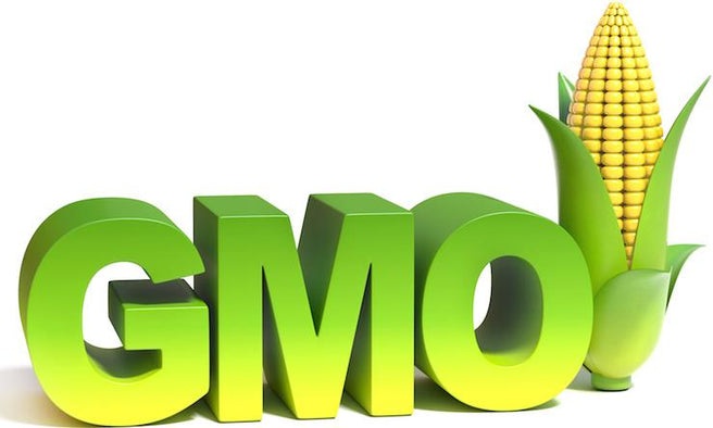 5 Reasons Why GMOs Are As Harmful to the Planet as they are to Your Health | Mr Vitamins