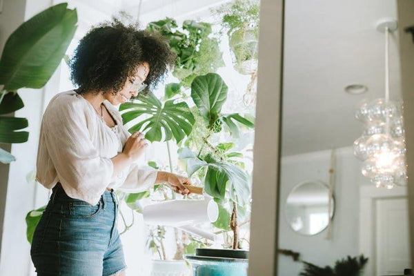 5 Steps to Chemical-Free Living | Mr Vitamins