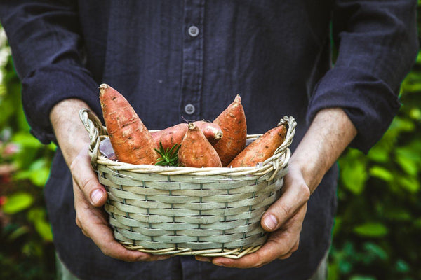 7 Great Reasons to eat Sweet Potatoes + Recipe | Mr Vitamins
