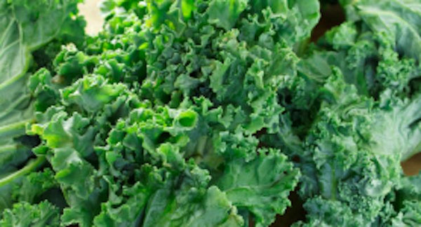 7 Reasons to Love Kale | Mr Vitamins