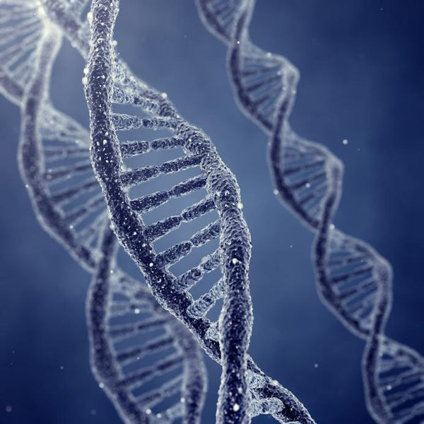 Are you looking after your DNA? | Mr Vitamins