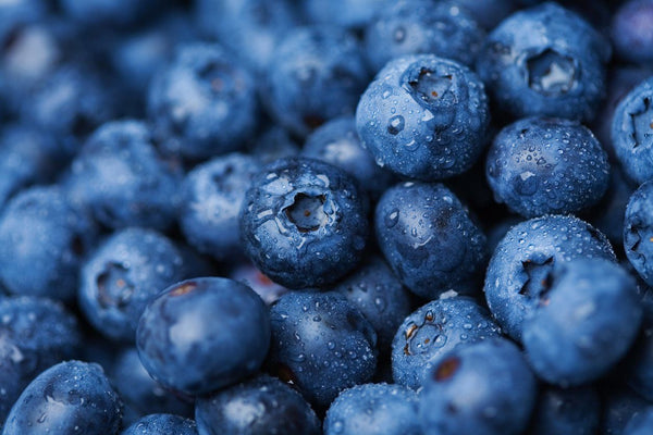 Blueberries Galore! Spruce up with fresh Spring produce | Mr Vitamins