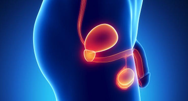 Can a high fibre diet benefit your prostate? | Mr Vitamins