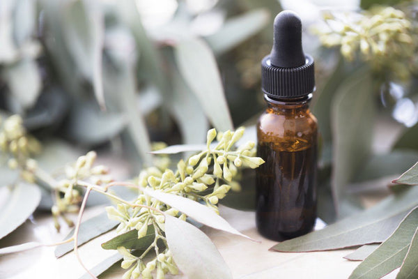 Essential Oils: An emotional subject? | Mr Vitamins