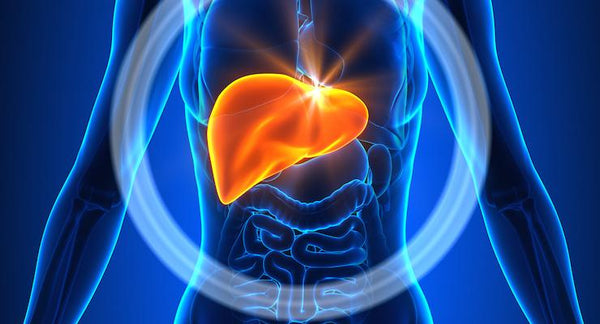 Has your doctor suggested you reduce alcohol? | Mr Vitamins