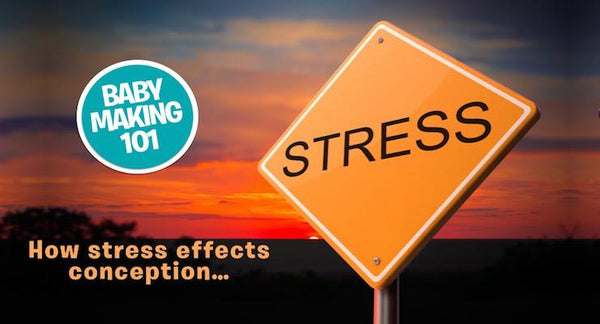 How Stress can Impede your Path to Conception | Mr Vitamins