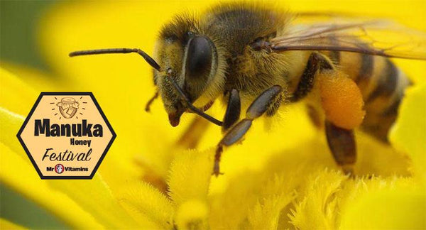 How to boost your energy when you're Busy-as-a-Bee | Mr Vitamins