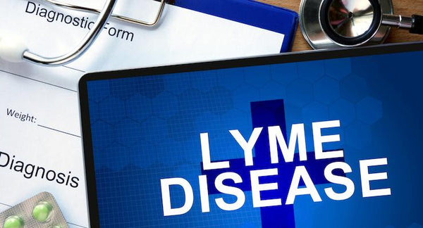 Lyme Disease in Australia: Time to be recognised | Mr Vitamins