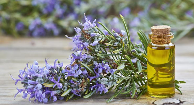 Medicine in your garden series: Rosemary, for remembrance and so much more | Mr Vitamins