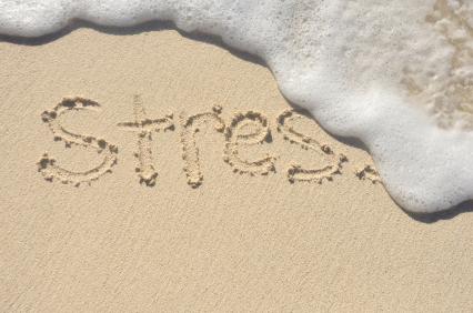 Stress and healing herbs – how you can reduce your stress the natural way | Mr Vitamins