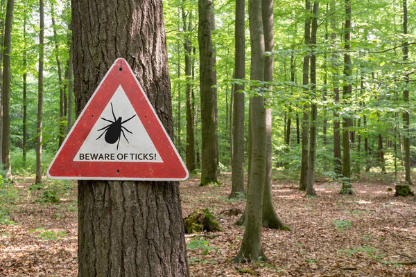 Ticks: We know there’s Lyme Disease … but wait there’s more!! | Mr Vitamins