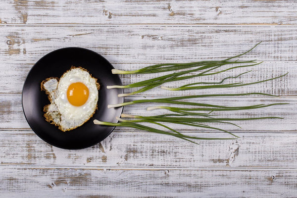 Top 5 Nutrients for Fertility and their Food Sources | Mr Vitamins