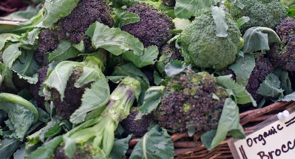 Want to Boost Your Immune System? Eat More Broccoli!! | Mr Vitamins