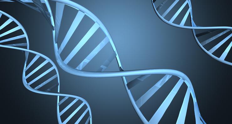 Why you really need MTHFR