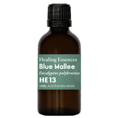 Healing Essence Blue Mallee Eucalyptus Oil