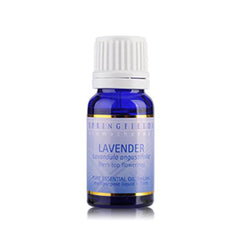 Springfields Lavender
