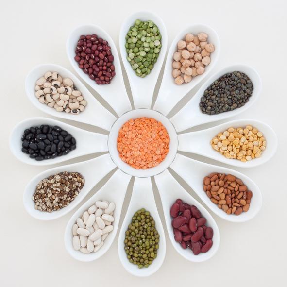 4 Healthy Sources of Plant Protein Facts Sheet | Mr Vitamins