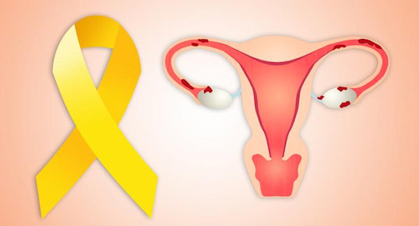 8 Ways to address Endometriosis Naturally | Mr Vitamins