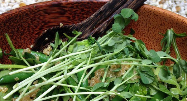 A Super Spring Salad | Mr Vitamins