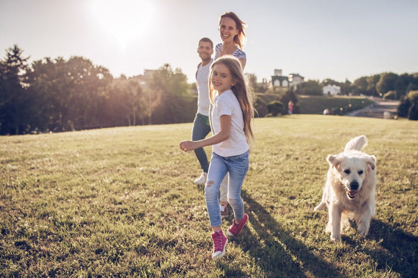 Activity not Exercise: A Principle for Weight Loss and Better Health | Mr Vitamins