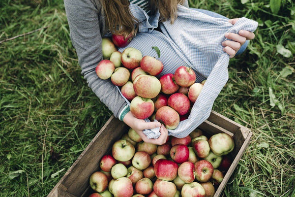 An Apple a Day Keeps the Doctor Away in Many Ways | Mr Vitamins