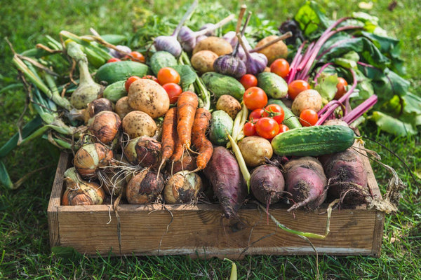 April Fresh: Autumn Fruit and Vegetables | Mr Vitamins