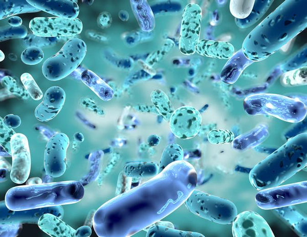 Are you human, or are you microbes? | Mr Vitamins