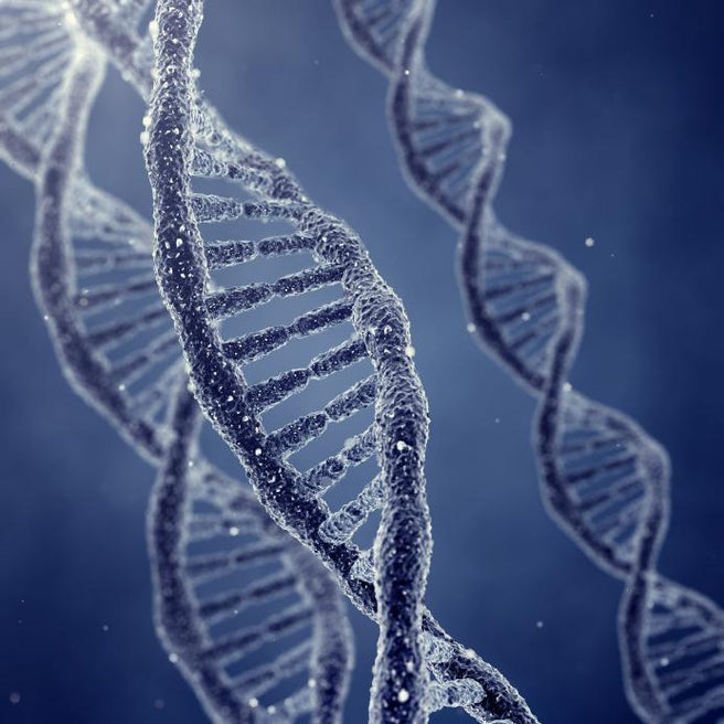 Are you looking after your DNA? | Mr Vitamins