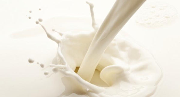 Are Your Dairy Products Aging You? | Mr Vitamins