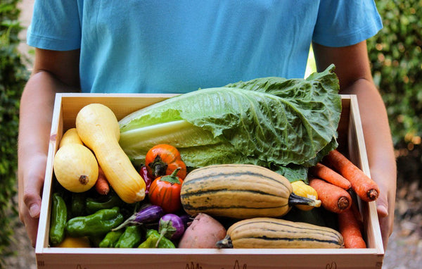 August Fresh – Is your food good enough to eat? | Mr Vitamins