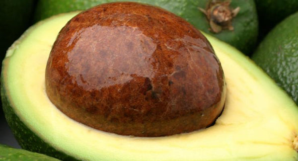 Avocados, the healthy fat fruit | Mr Vitamins