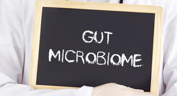 Beyond your Gut Microbiome – simple recommendations | Mr Vitamins