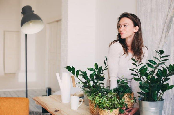 Can your air quality really impact your health? | Mr Vitamins