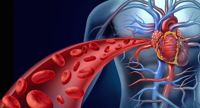 Could heart disease be caused by infection? | Mr Vitamins