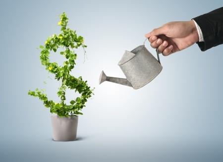 Could your finances do with a boost? | Mr Vitamins