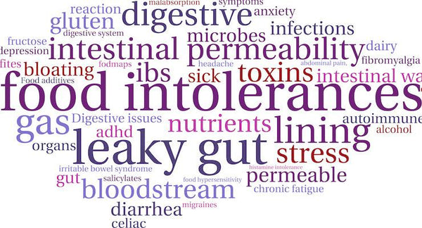 Could your leaky gut be causing a leaky brain? | Mr Vitamins
