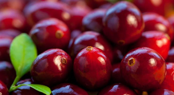 Cranberry for urinary tract health – how much is enough? | Mr Vitamins