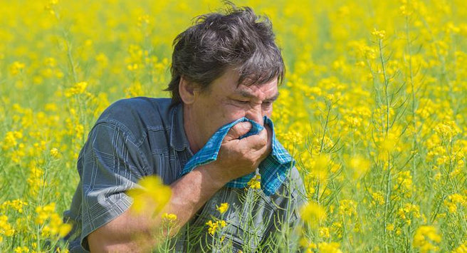 Do you dread the Spring Hayfever season? | Mr Vitamins