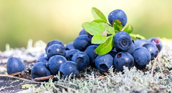 Eye health supplements - why Bilberry alone isn't always enough | Mr Vitamins