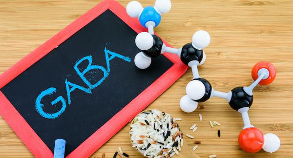 GABA - your internal stress buster | Mr Vitamins