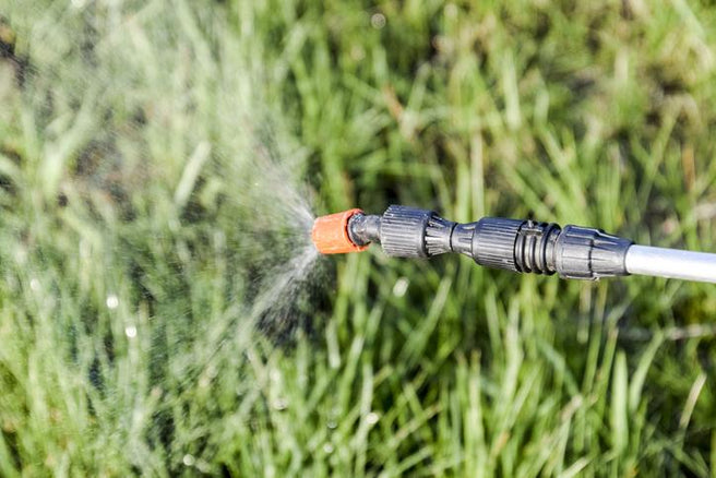 Glyphosate: What Is it? Where is it? Why we should care | Mr Vitamins