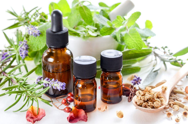 Herbal Medicine | Mr Vitamins