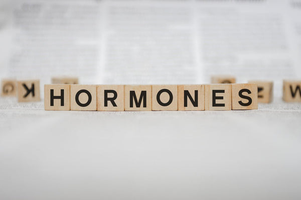 Hormones are not only for sex! | Mr Vitamins