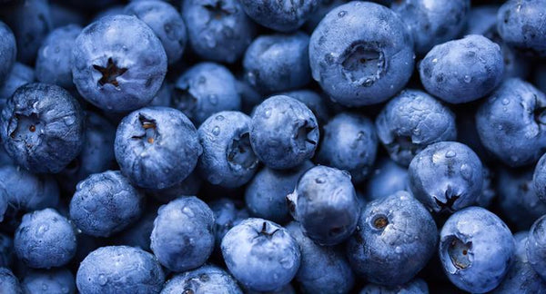 How Bilberry and its 'Friends' care for your eyes | Mr Vitamins