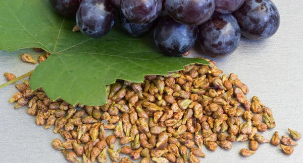How Grape Seed Extract may help you stay Youthful | Mr Vitamins