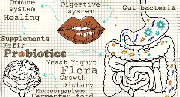 How to feel your best inside and out! | Mr Vitamins