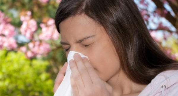 How to find relief from Seasonal Hayfever and Sinusitis | Mr Vitamins