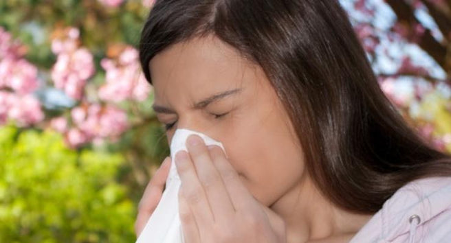 How to find relief from Seasonal Hayfever and Sinusitis | Mr Vitamins
