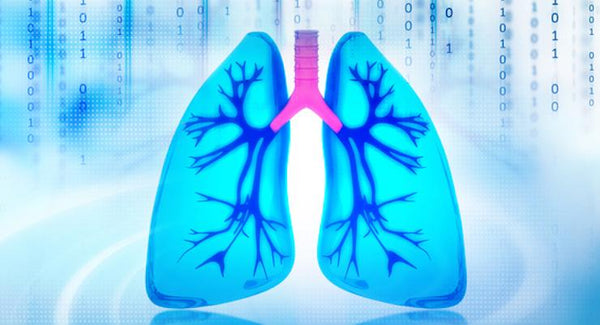 How to keep your lungs healthy naturally | Mr Vitamins