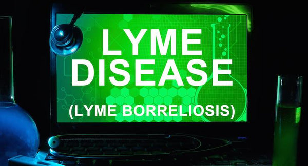 Is Lyme Disease in Australia? | Mr Vitamins